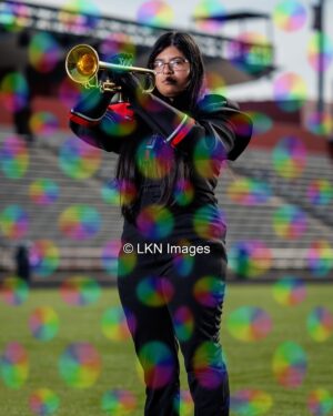 SRHS - Band: HEG15298_SRHS_Fall