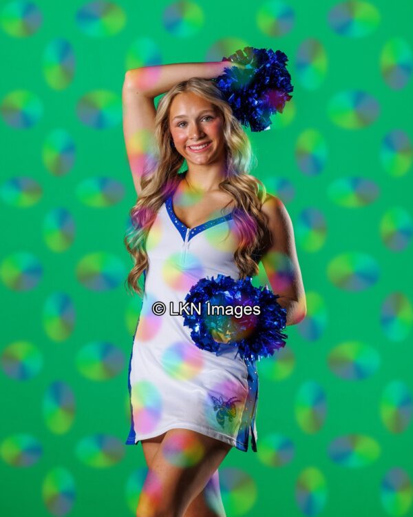 FMHS1 - Dance: HEG20371_FMHS_Fall