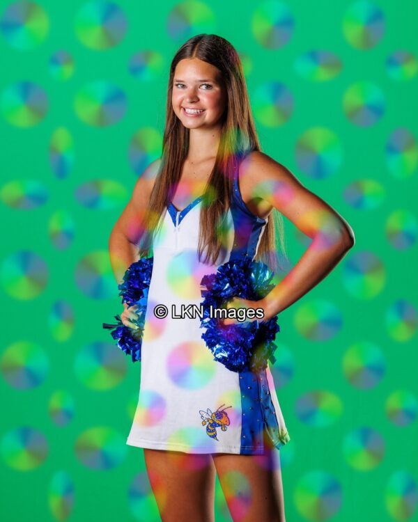 FMHS1 - Dance: HEG20377_FMHS_Fall