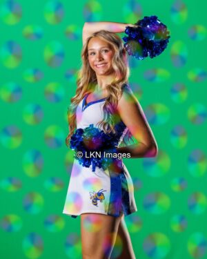 FMHS1 - Dance: HEG20390_FMHS_Fall
