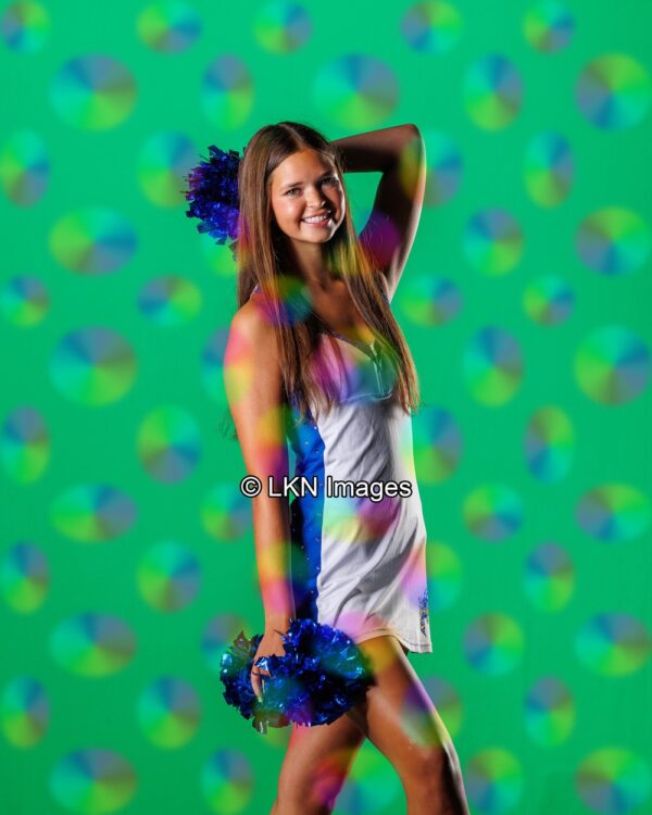FMHS1 - Dance: HEG20400_FMHS_Fall