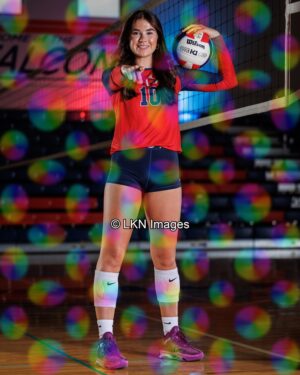 NCLAHS - Volleyball - W: HEG20606_NCLAHS_Fall