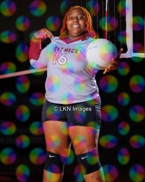 WMHS - Volleyball - W: R6A_8182_WMHS_Fall
