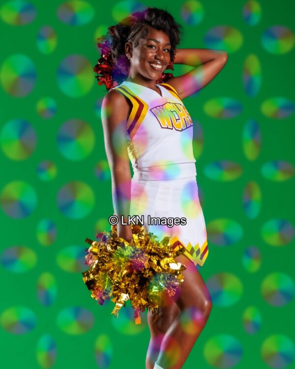 WCHS - Cheer - Fall: R3A_5651_WCHS_Fall