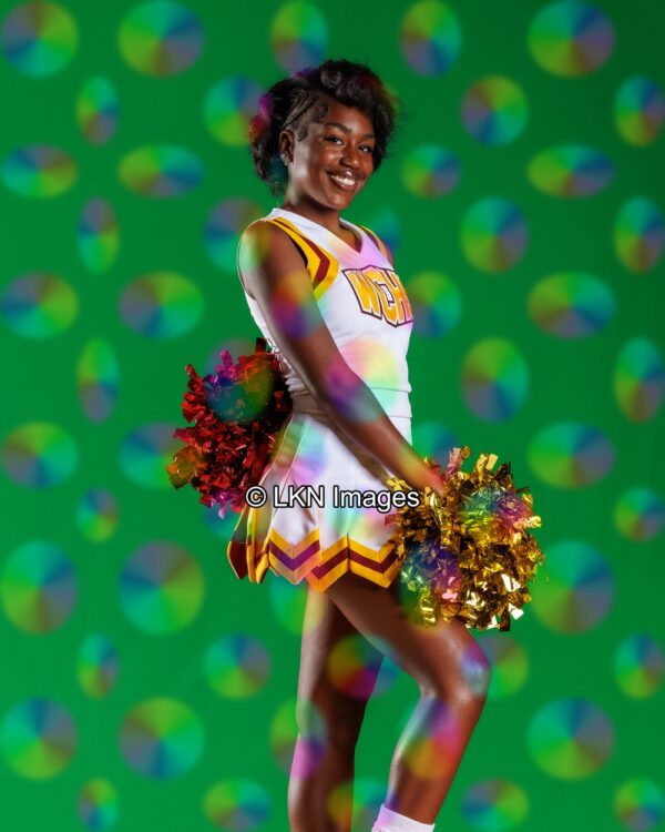 WCHS - Cheer - Fall: R3A_5654_WCHS_Fall