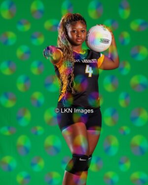 WCHS - Volleyball - W: R6A_0107_WCHS_Fall