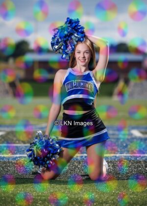 LNHS - Yard Signs: Dance: CR6A6858_LNHS_Fall_Dance