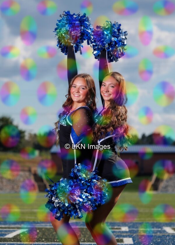 LNHS - Yard Signs: Dance: CR6A6974_LNHS_Fall_Dance