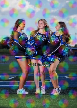 LNHS - Yard Signs: Dance: CR6A7016_LNHS_Fall_Dance