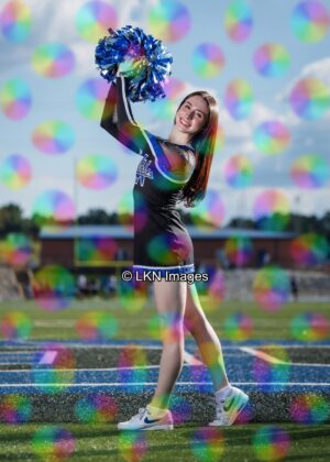 LNHS - Yard Signs: Dance: R3A_4123_LNHS_Fall_Dance