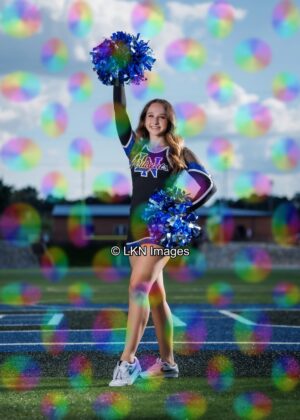 LNHS - Yard Signs: Dance: R3A_4134_LNHS_Fall_Dance