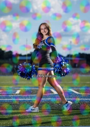 LNHS - Yard Signs: Dance: R3A_4138_LNHS_Fall_Dance