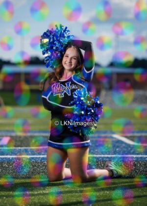 LNHS - Yard Signs: Dance: R3A_4141_LNHS_Fall_Dance