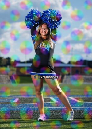 LNHS - Yard Signs: Dance: R3A_4144_LNHS_Fall_Dance