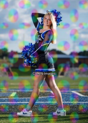 LNHS - Yard Signs: Dance: R3A_4162_LNHS_Fall_Dance