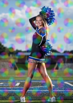 LNHS - Yard Signs: Dance: R3A_4170_LNHS_Fall_Dance