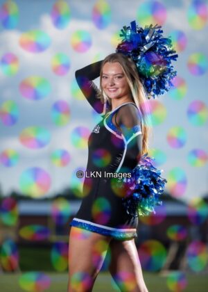 LNHS - Yard Signs: Dance: R3A_4171_LNHS_Fall_Dance