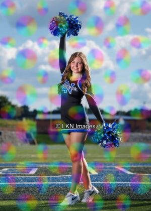 LNHS - Yard Signs: Dance: R3A_4176_LNHS_Fall_Dance