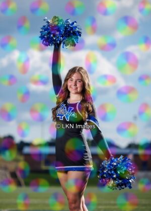 LNHS - Yard Signs: Dance: R3A_4177_LNHS_Fall_Dance
