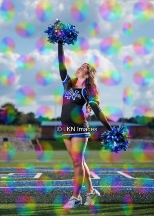 LNHS - Yard Signs: Dance: R3A_4178_LNHS_Fall_Dance