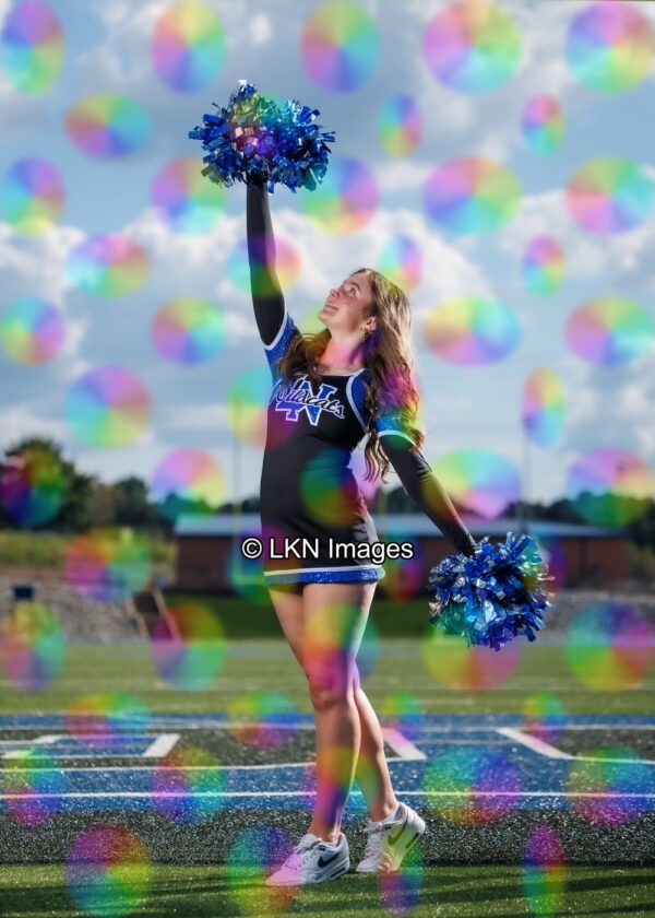LNHS - Yard Signs: Dance: R3A_4178_LNHS_Fall_Dance