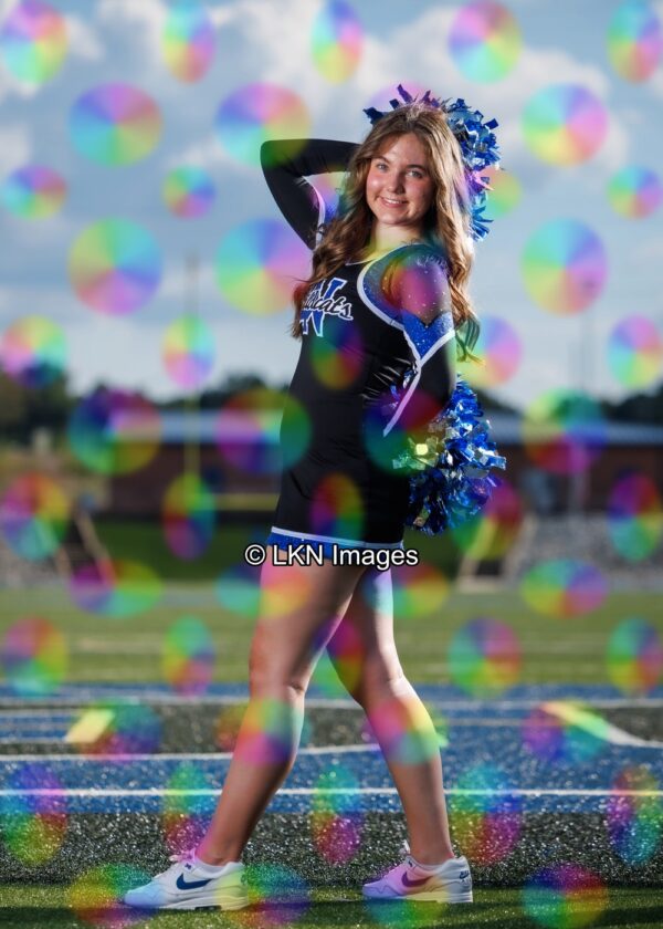 LNHS - Yard Signs: Dance: R3A_4182_LNHS_Fall_Dance