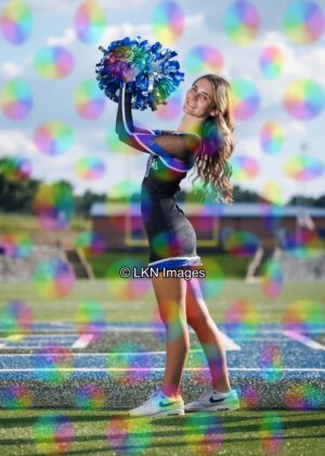 LNHS - Yard Signs: Dance: R3A_4199_LNHS_Fall_Dance