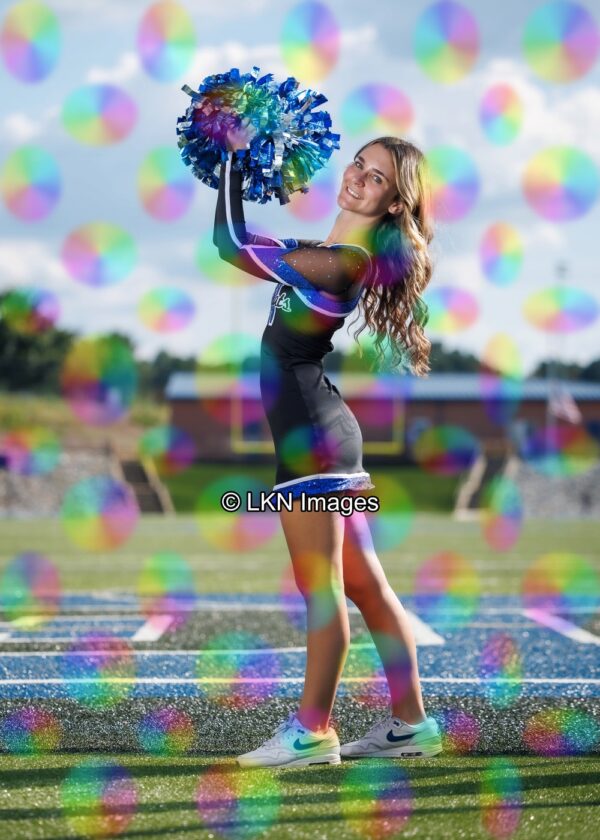 LNHS - Yard Signs: Dance: R3A_4199_LNHS_Fall_Dance