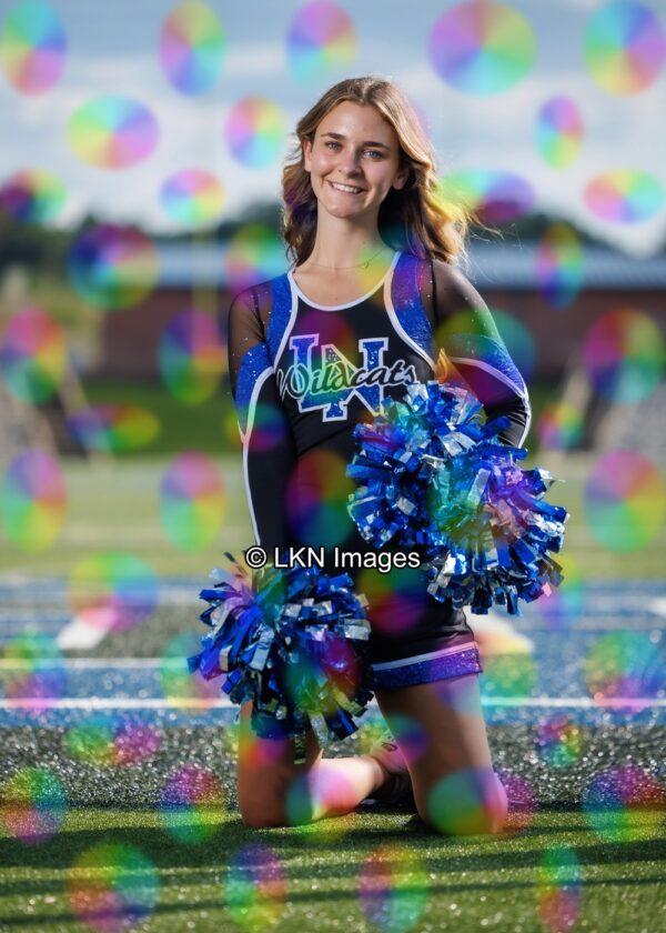 LNHS - Yard Signs: Dance: R3A_4205_LNHS_Fall_Dance