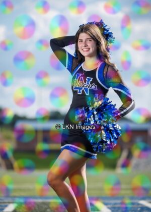 LNHS - Yard Signs: Dance: R3A_4208_LNHS_Fall_Dance
