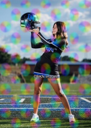 LNHS - Yard Signs: Dance: R3A_4215_LNHS_Fall_Dance