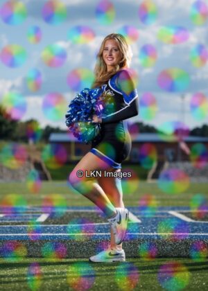 LNHS - Yard Signs: Dance: R3A_4219_LNHS_Fall_Dance