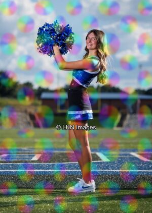 LNHS - Yard Signs: Dance: R3A_4247_LNHS_Fall_Dance