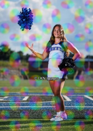 LNHS - Yard Signs: Dance: R3A_4256_LNHS_Fall_Dance