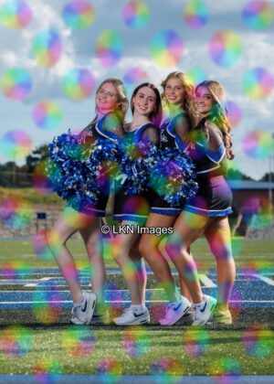 LNHS - Yard Signs: Dance: R3A_4275_LNHS_Fall_Dance