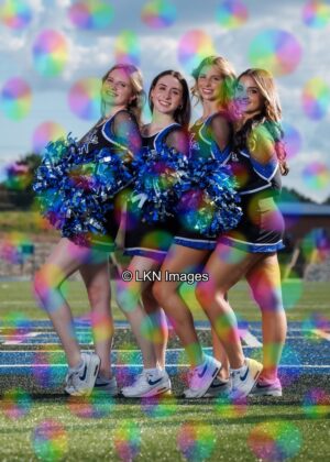 LNHS - Yard Signs: Dance: R3A_4276_LNHS_Fall_Dance