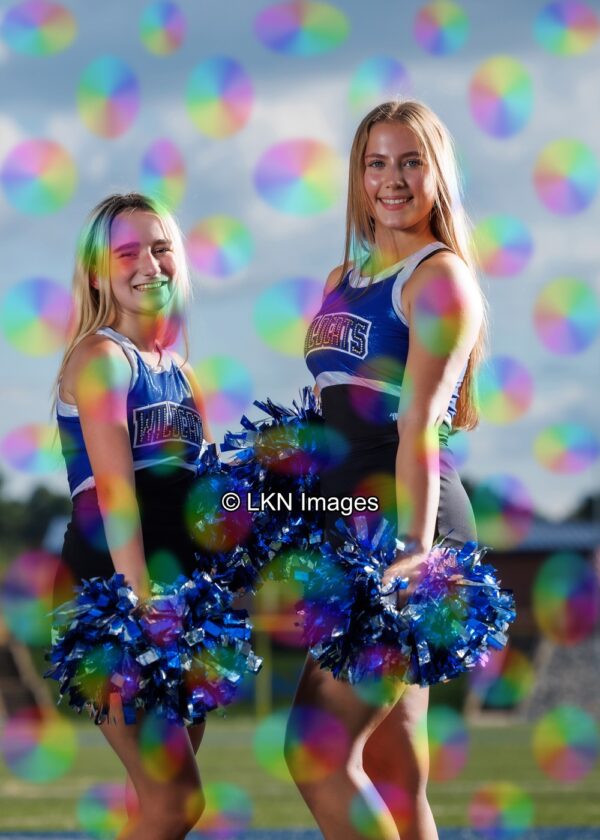 LNHS - Yard Signs: Dance: R3A_4281_LNHS_Fall_Dance