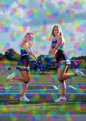 LNHS - Yard Signs: Dance: R3A_4284_LNHS_Fall_Dance
