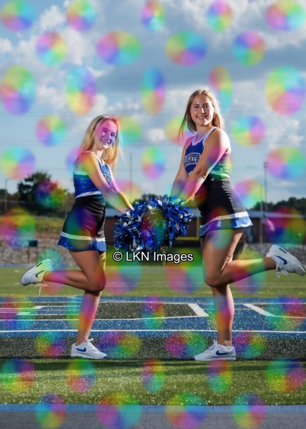 LNHS - Yard Signs: Dance: R3A_4284_LNHS_Fall_Dance