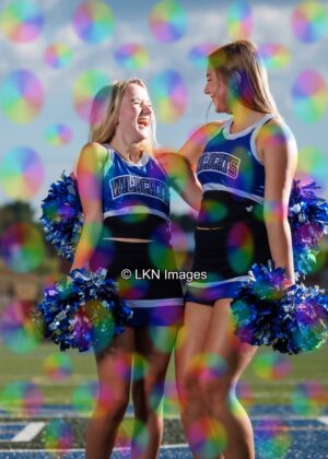 LNHS - Yard Signs: Dance: R3A_4287_LNHS_Fall_Dance