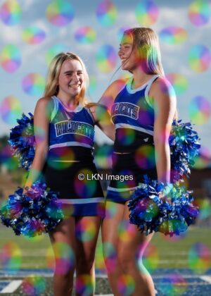 LNHS - Yard Signs: Dance: R3A_4288_LNHS_Fall_Dance