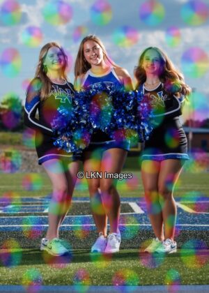 LNHS - Yard Signs: Dance: R3A_4289_LNHS_Fall_Dance