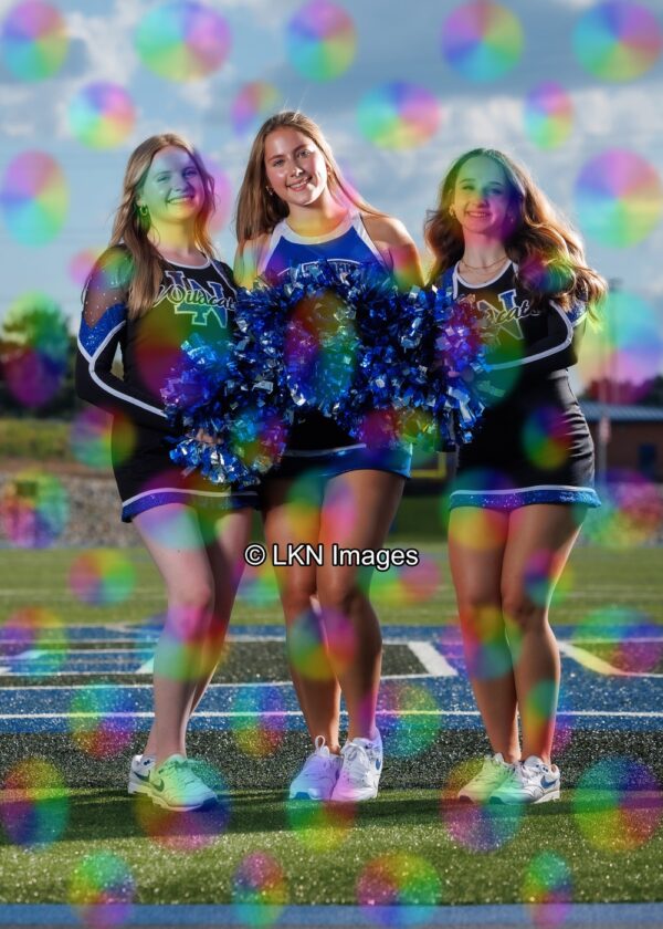 LNHS - Yard Signs: Dance: R3A_4289_LNHS_Fall_Dance