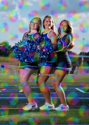 LNHS - Yard Signs: Dance: R3A_4292_LNHS_Fall_Dance