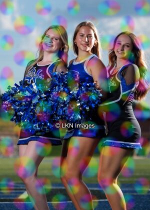LNHS - Yard Signs: Dance: R3A_4293_LNHS_Fall_Dance