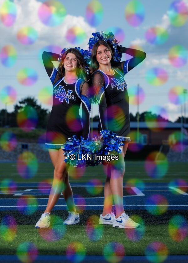 LNHS - Yard Signs: Dance: R3A_4309_LNHS_Fall_Dance