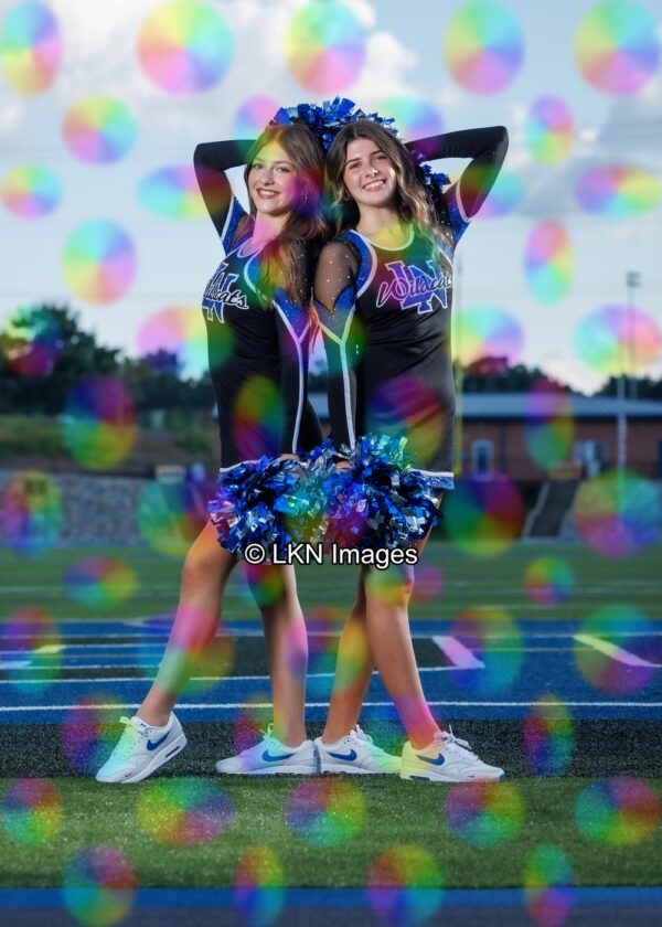 LNHS - Yard Signs: Dance: R3A_4320_LNHS_Fall_Dance