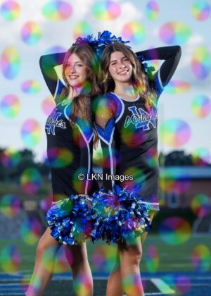 LNHS - Yard Signs: Dance: R3A_4321_LNHS_Fall_Dance