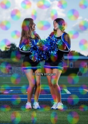 LNHS - Yard Signs: Dance: R3A_4322_LNHS_Fall_Dance
