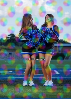 LNHS - Yard Signs: Dance: R3A_4323_LNHS_Fall_Dance